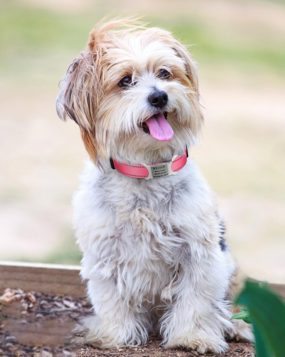 Tagme Reflective Nylon Dog Collars, Adjustable Classic Dog Collar With Quick Release Buckle For Small Dogs, Baby Pink, 3/4' Width