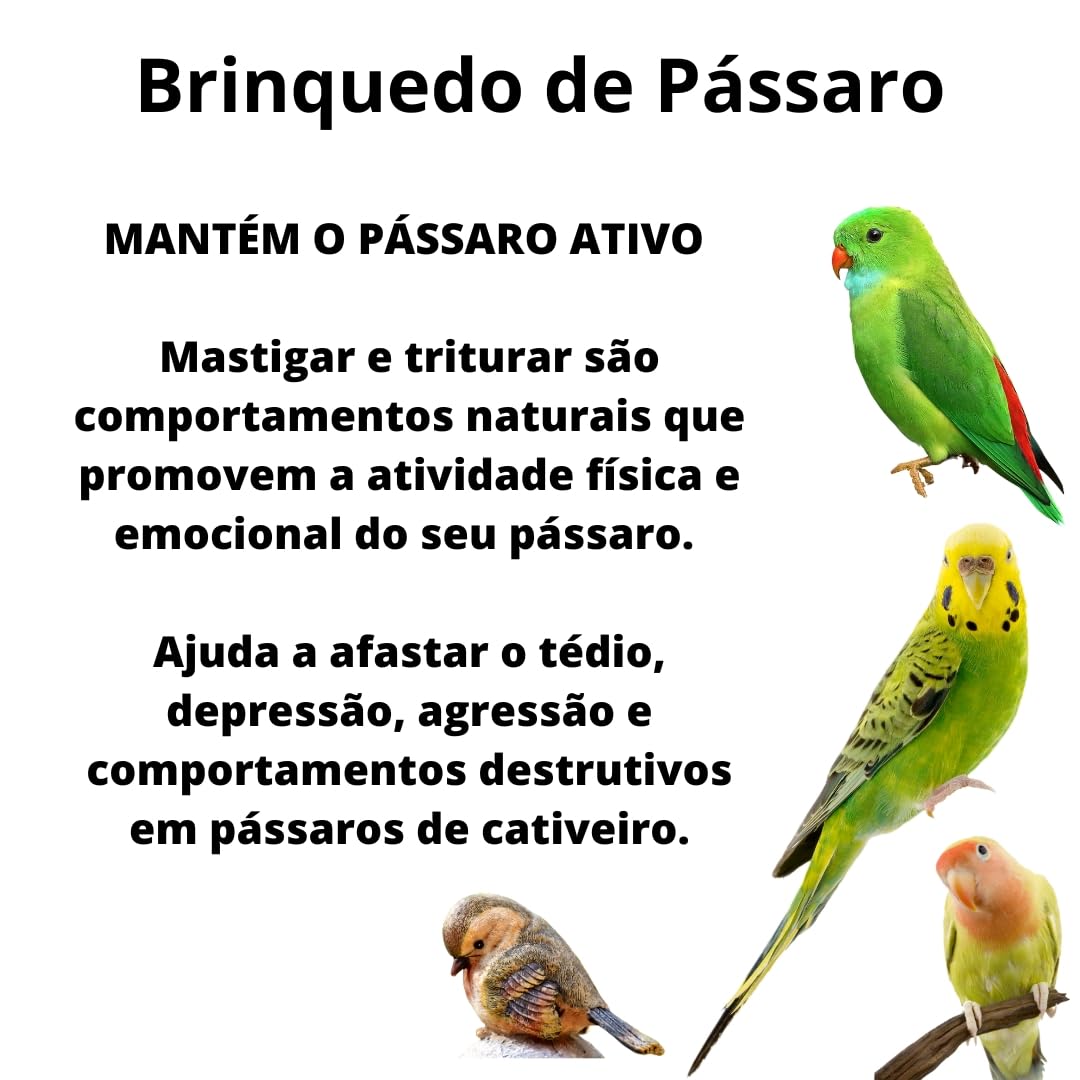 Bird Kabob 8-1/2-Inch Carnival Chewable Perch