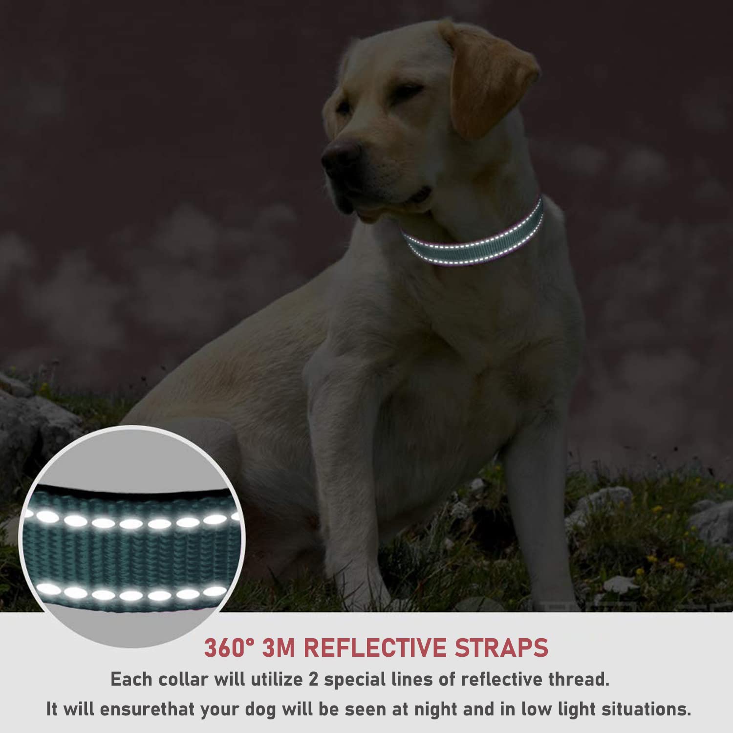Reflective Dog Collar With Buckle Adjustable Safety Nylon Collars For Small Medium Large Dogs, Grey M