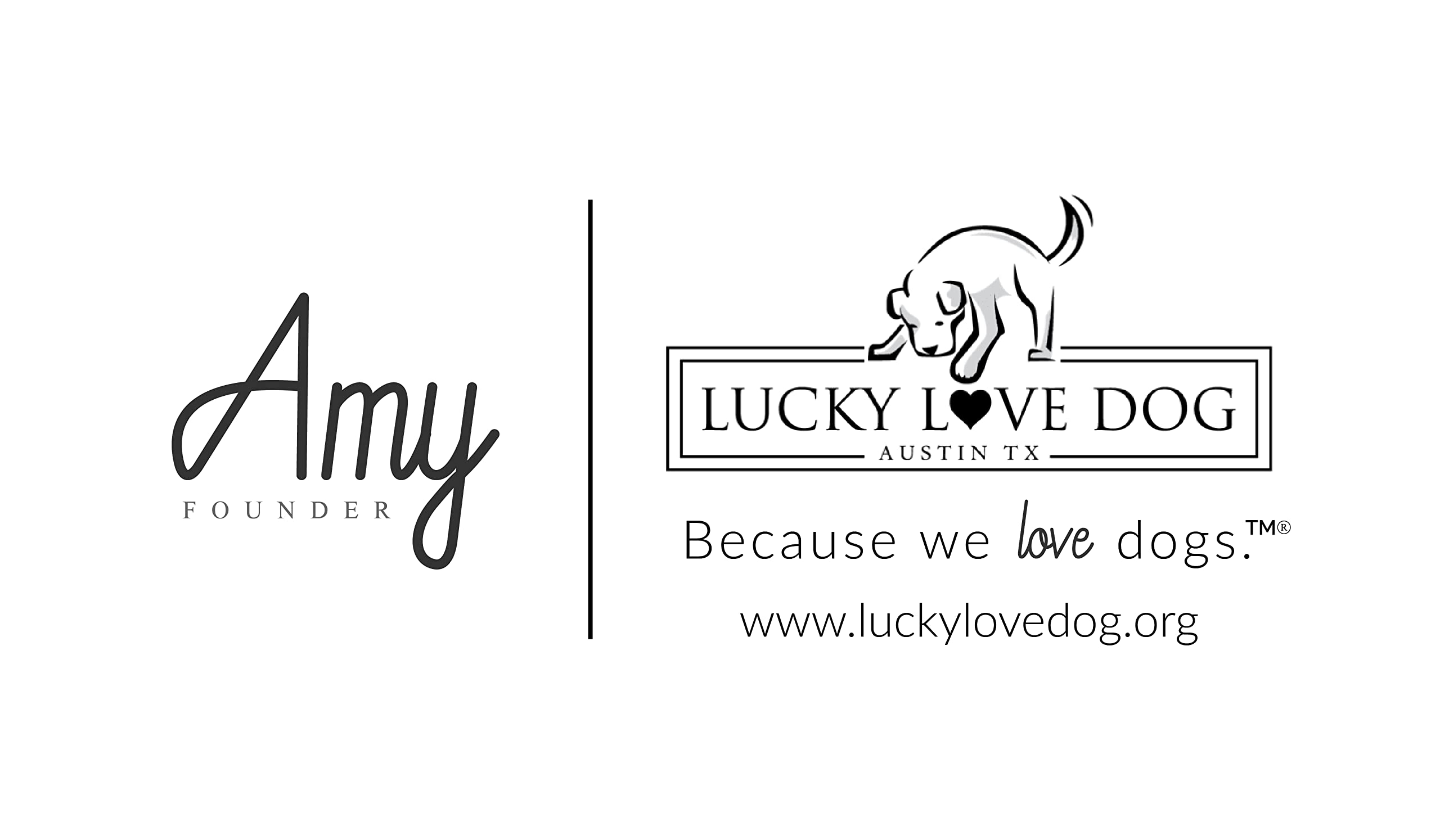 Lucky Love Dog Collar And Leash Combo | Vivid Floral Matching Girl Dog Leash And Collar Set For X-Small Dogs - Carriebelle, Xs