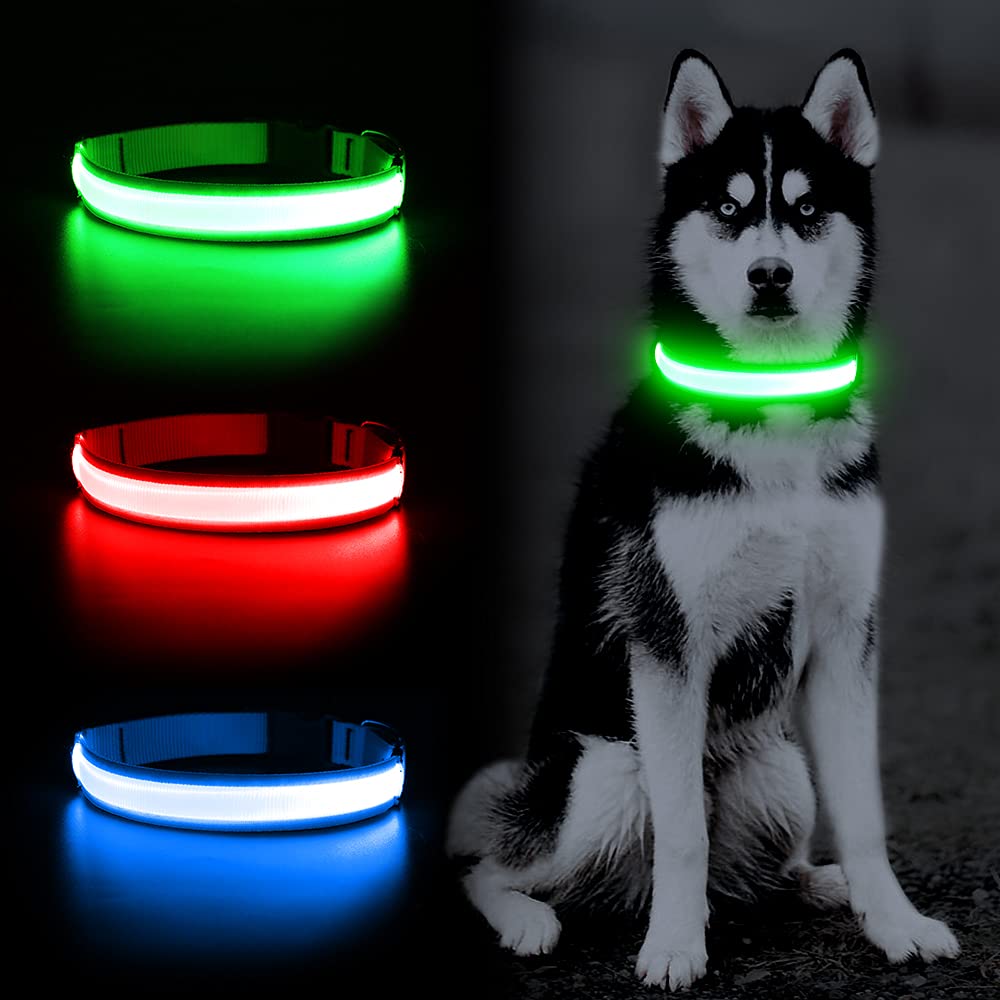 Yfbrite Ultra Light Usb Rechargeable Led Dog Collar - Adjustable Light Up Dog Collar - Waterproof Dog Collar - Flashing Dog Collar Visiblity & Safety For Your Dogs (Green, Small)