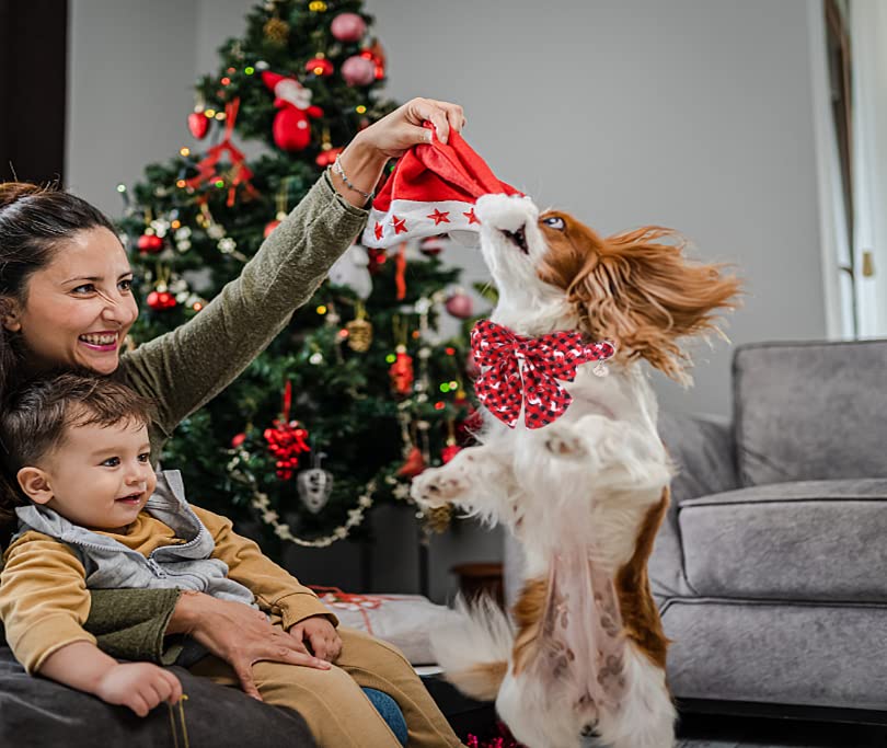 Dogwong Christmas Dog Collar With Sailor Bow, Red Plaid Deer Dog Collar Soft Durable Adjustable Cotton Puppy Collar For Small Me