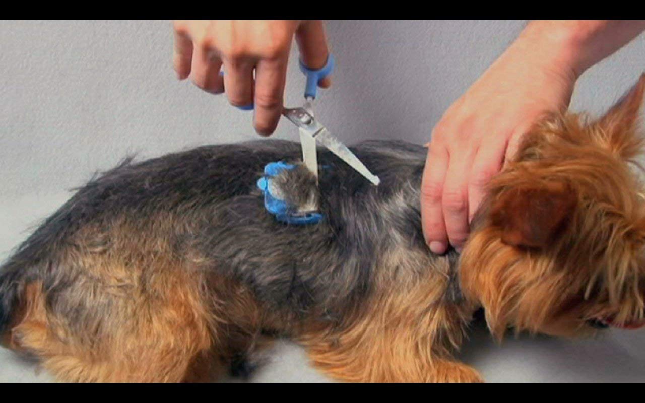 SCAREDY CUT Silent Pet Grooming Kit for Dog, Cat and All Pet Grooming - A Quiet Alternative to Electric Clippers for Sensitive P