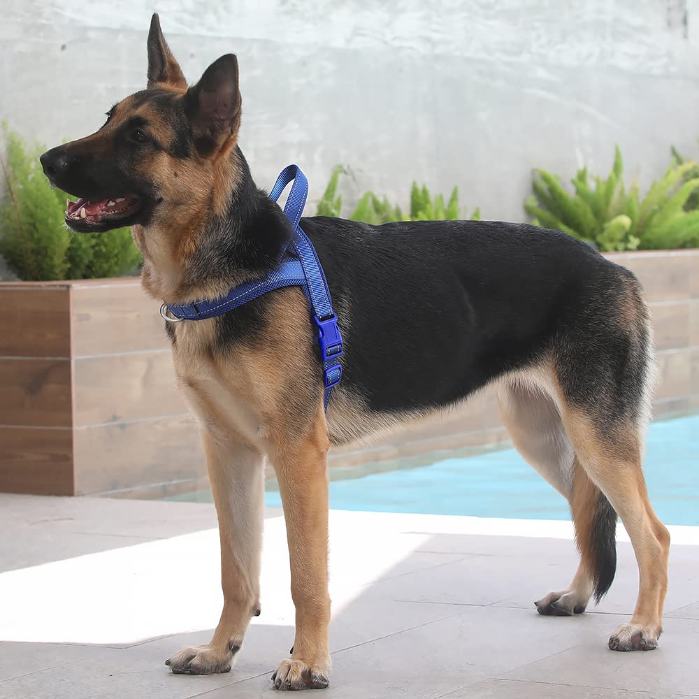 Plutus Pet No Pull Dog Harness With Breathable Mesh Padded, Adjustable Reflective Escape Proof Dog Harness, Quick Fit Dog Vest Harness For Small Medium Large Dogs(L, Navy Blue)