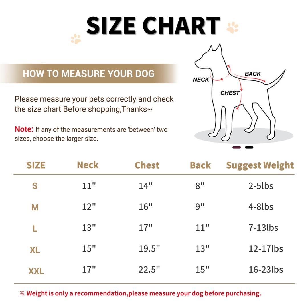 Lesypet Warm Dog Jacket Winter Dog Coats Windproof Waterproof Fleece Lined Dog Leather Jackets For Small Dogs Puppy, Red Large