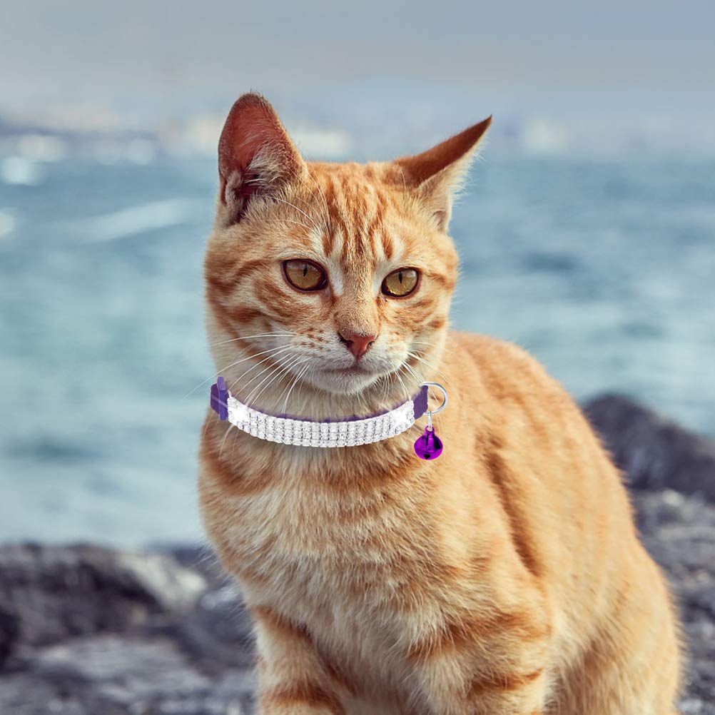 Expawlorer Cat Collar Breakaway With Bells - 2 Pack Rhinestones Bling Diamante Collars - Soft Velvet Safe Adjustable Shing Collar For Cats Kitty Girls And Small Dogs