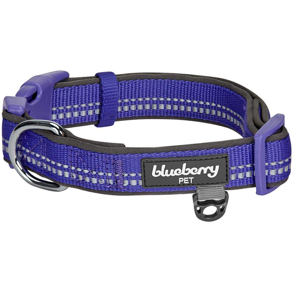Blueberry Pet Soft & Safe 3M Reflective Neoprene Padded Adjustable Dog Collar - Violet Pastel Color, Large, Neck 18''-26''