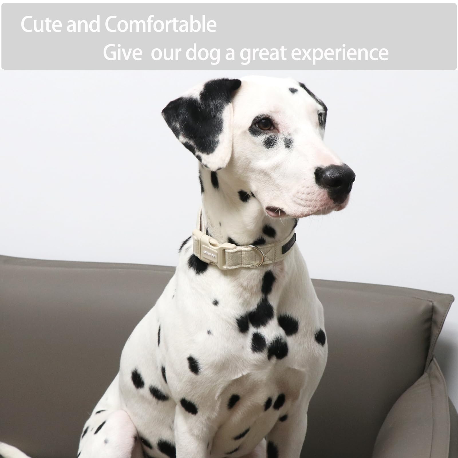 Aring Pet Cotton Dog Collar-Soft Dog Collar For Small Dogs, Lightweight Comfortable Pet Collars With Quick Release Buckle For Sm