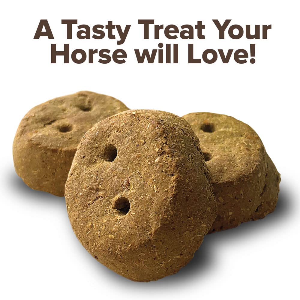 Kent Nutrition Group-Bsf 1240 Molasses RounderS Horse Treat, 30 Oz