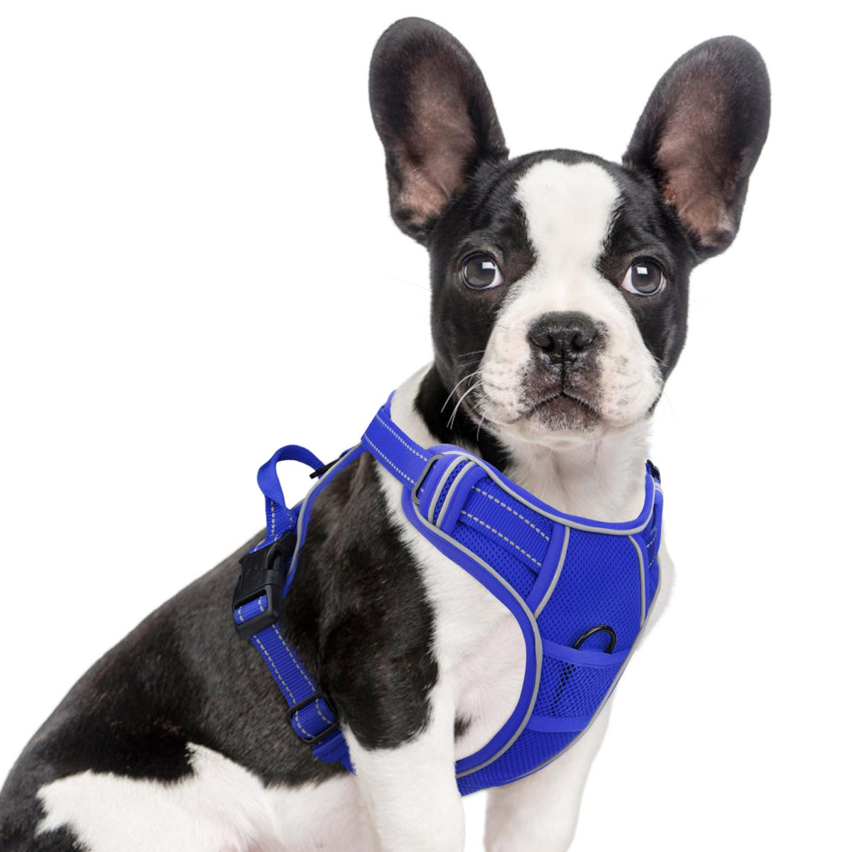 Joytale Step-In No Pull Dog Harness For Small Dogs With 2 Leash Clips, Reflective Pet Vest With Easy Control Handle, Adjustable 