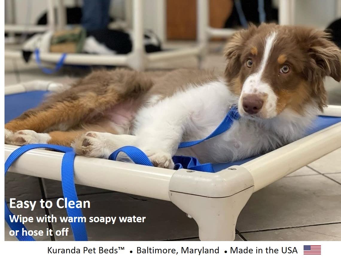 Kuranda Elevated Outdoor Bed - Almond Pvc - Sunsure Textilene Fabric (Small - 30' X 20', Sierra)