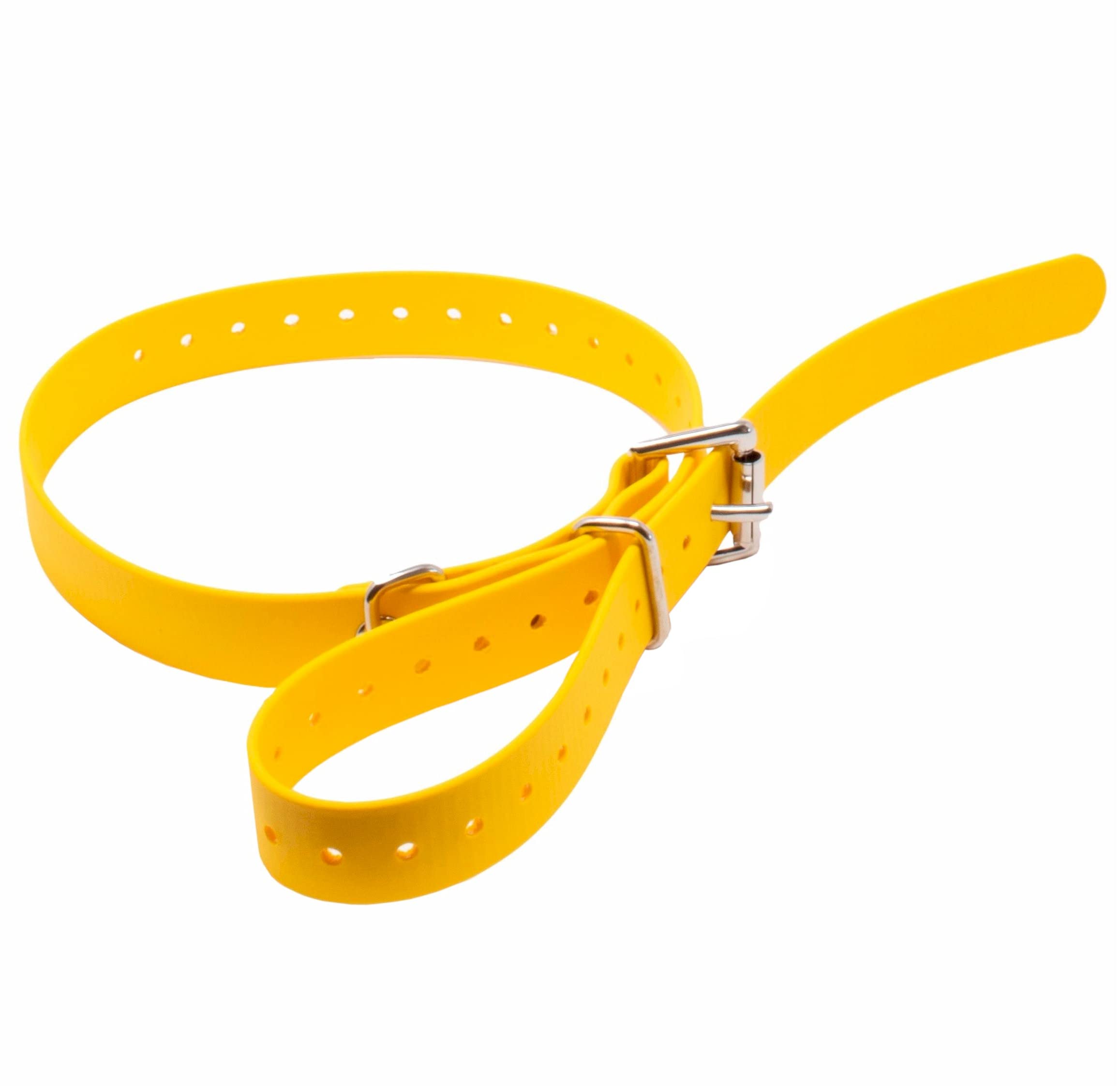 Educator Biothane Dog Collar, Waterproof, Odorproof, Metal Buckle And D Ring, Adjustable For Custom Fit, Cool And Comfortable, F