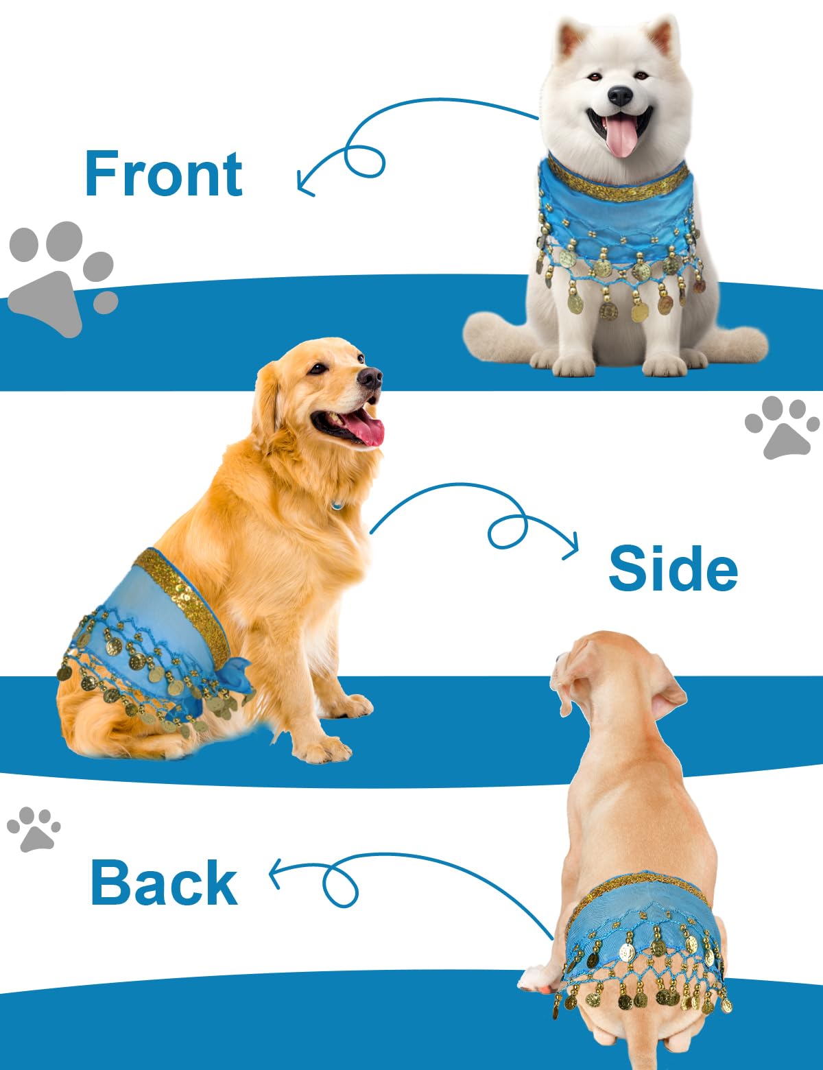 Dog Belly Dancer Costume - Puppy Outfit With Sequin Waist Chain & Hip-Shaking Skirt - Ideal For Corgi And Puppy Birthday Parties