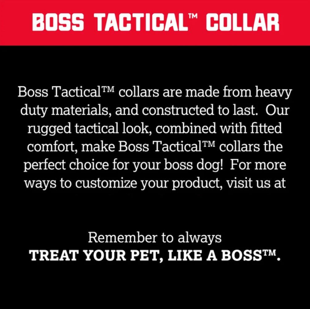 Boss Dog Tactical Collar, Hunter Orange, X-Large