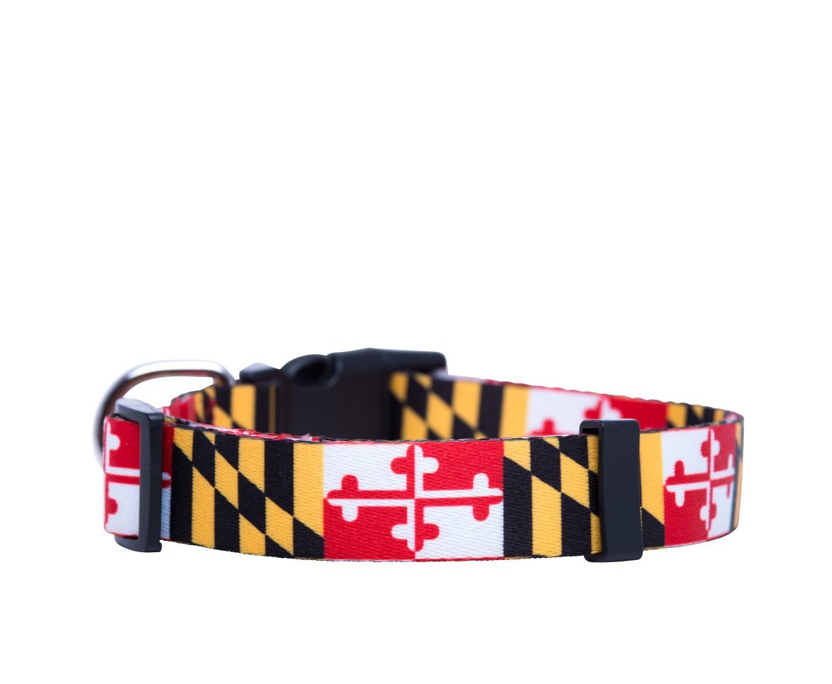 Native Pup Maryland Flag Dog Collar (Maryland, Medium)