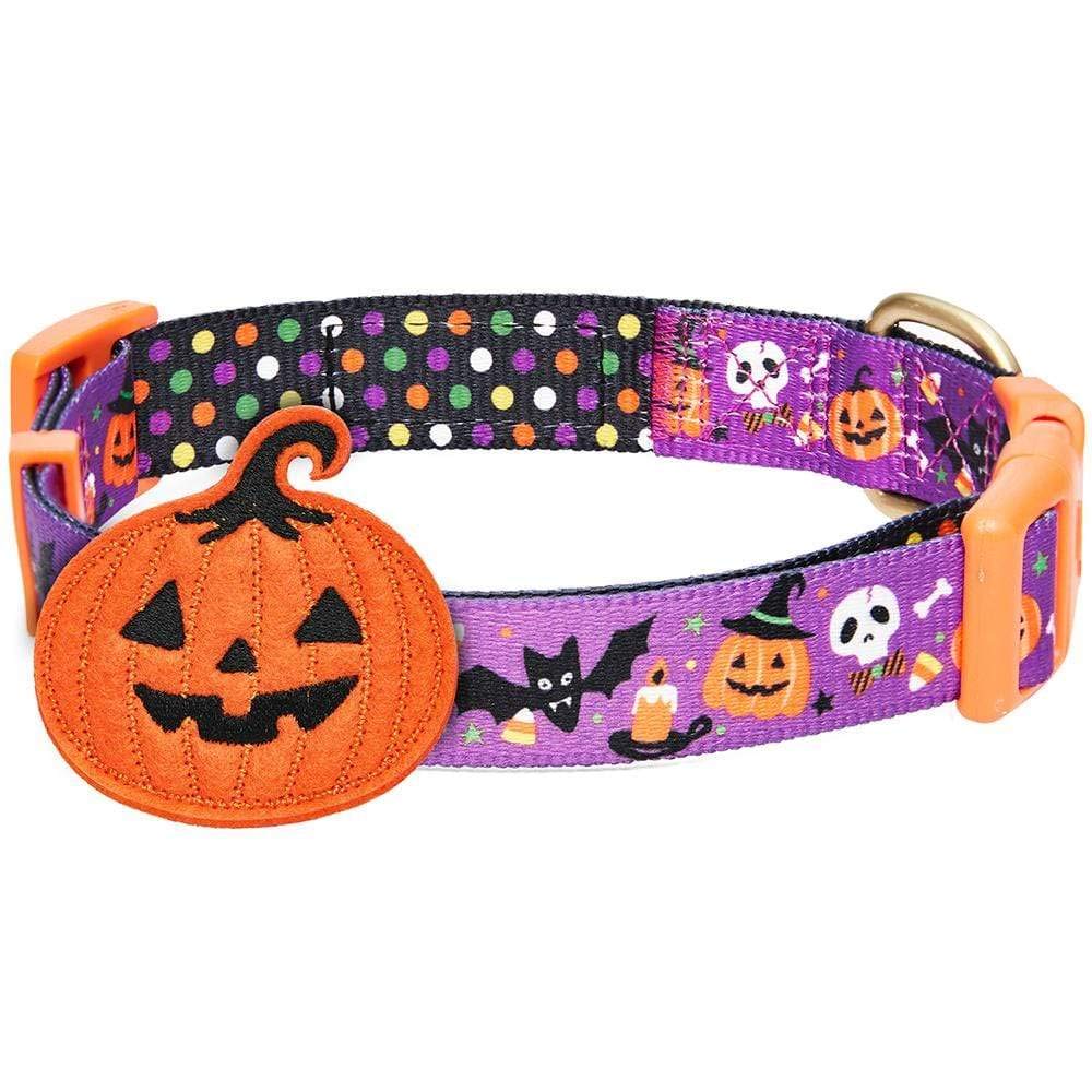 Blueberry Pet 8 Patterns Halloween Pumpkin Party Designer Adjustable Dog Collar with Detachable Decoration, Small, Neck 12''-16'