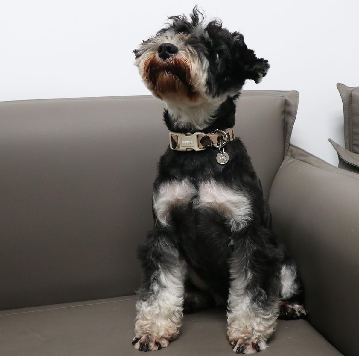 Dogwong Cotton Dog Collar, Leopard Print, Soft & Comfortable, Durable Plastic Buckle, Perfect For Small Dogs