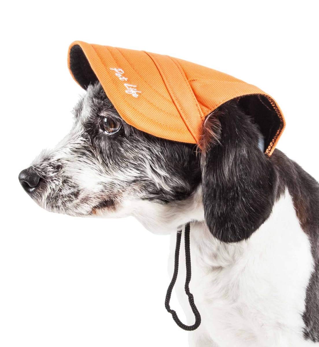 Cap-Tivating Uv Protectant Adjustable Fashion Dog Hat - Orange, Medium