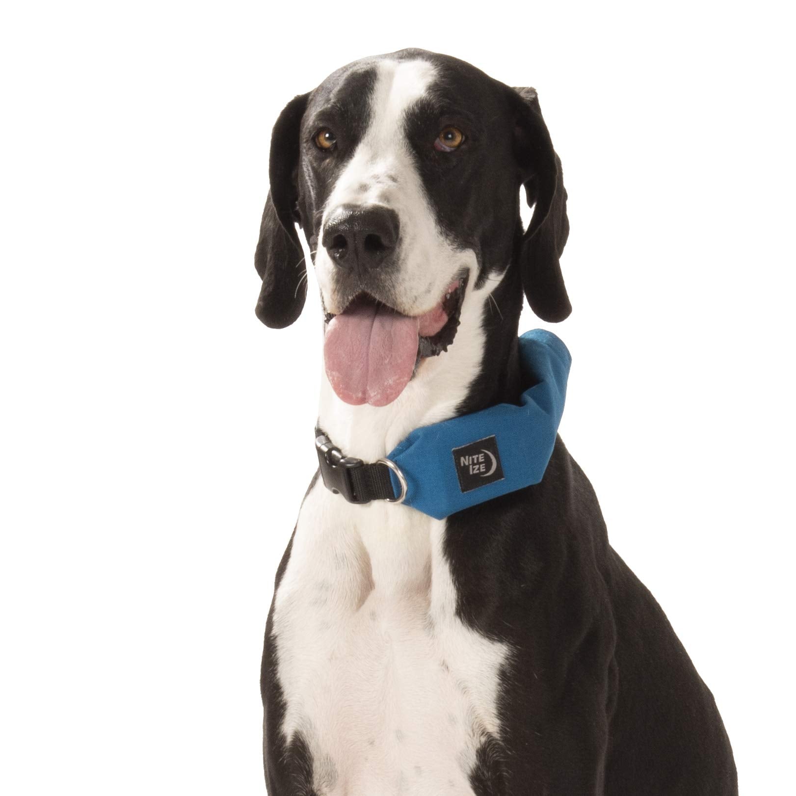 Nite Ize Raddog All-In-One Collar + Leash Combo, Dog Collar With Built-In Retractable Leash, Blue, X-Large 20'-25'