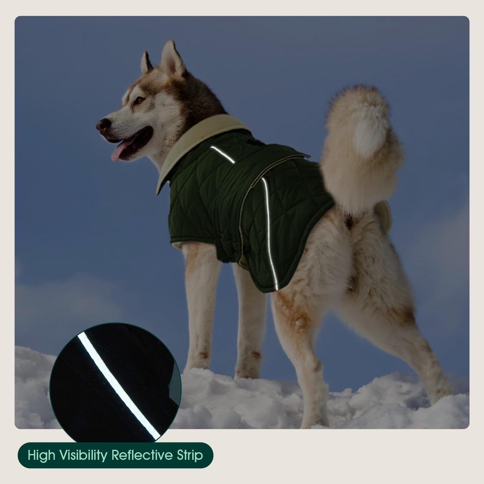Kuoser Dog Winter Coat, Waterproof Fleece-Lined Snowsuit, Large, Green, Model C118-Kuoser-778MF-1