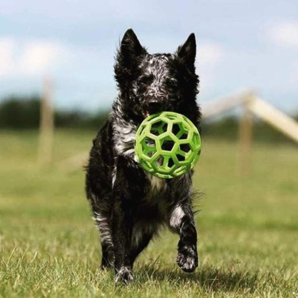 JW Pet Hol-ee Roller Dog Toy Puzzle Ball, Natural Rubber, Extra Large (7.5 Inch Diameter), Colors May Vary
