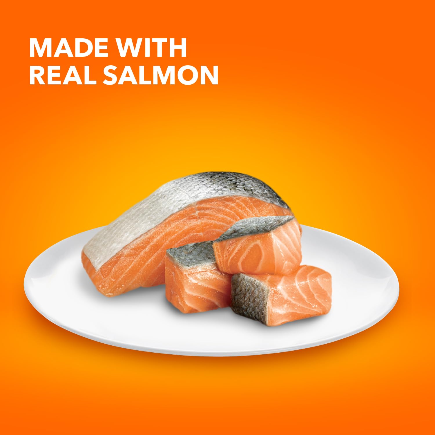 Iams Proactive Health Salmon Dry Cat Food, 16 Lb Bag