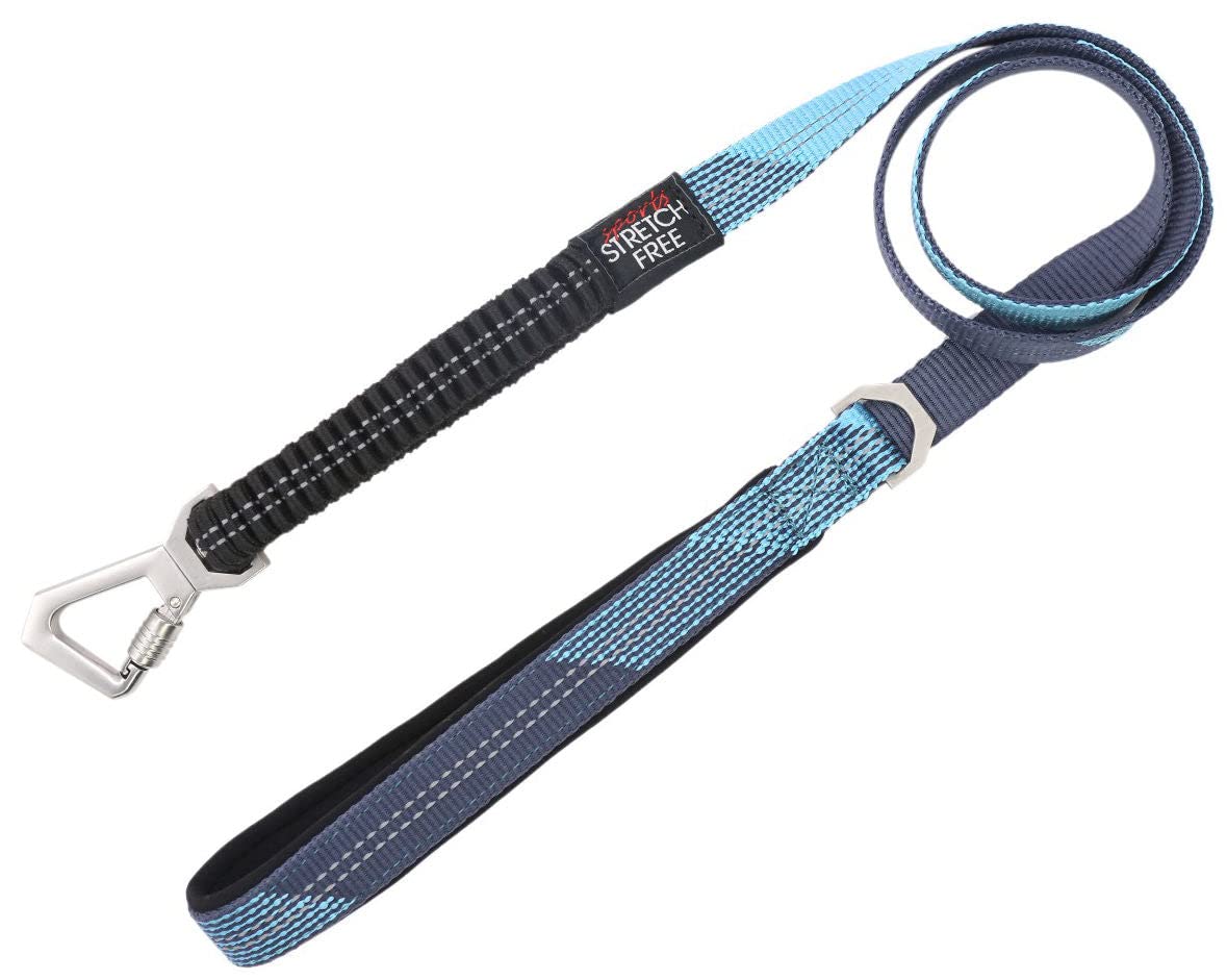 Pet Life Geo-Prene Shock Absorbing Neoprene Reflective Dog Leash And Collar, Md, Blue