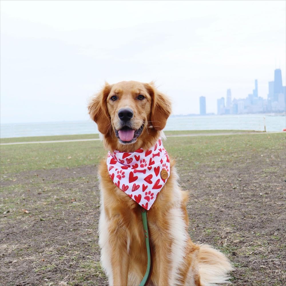 Crowned Beauty Valentines Day Dog Bandanas Large 2 Pack,Red Heart Adjustable Triangle Holiday Plaid Reversible Scarves For Mediu