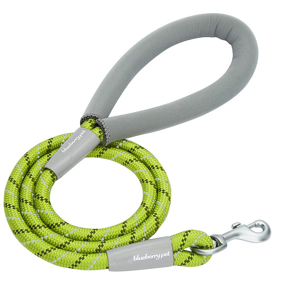 Blueberry Pet Durable Diagonal Striped Dog Rope Leash In Lime Green With Comfy Neoprene Handle, 4 Ft, Strong Leashes For Dogs