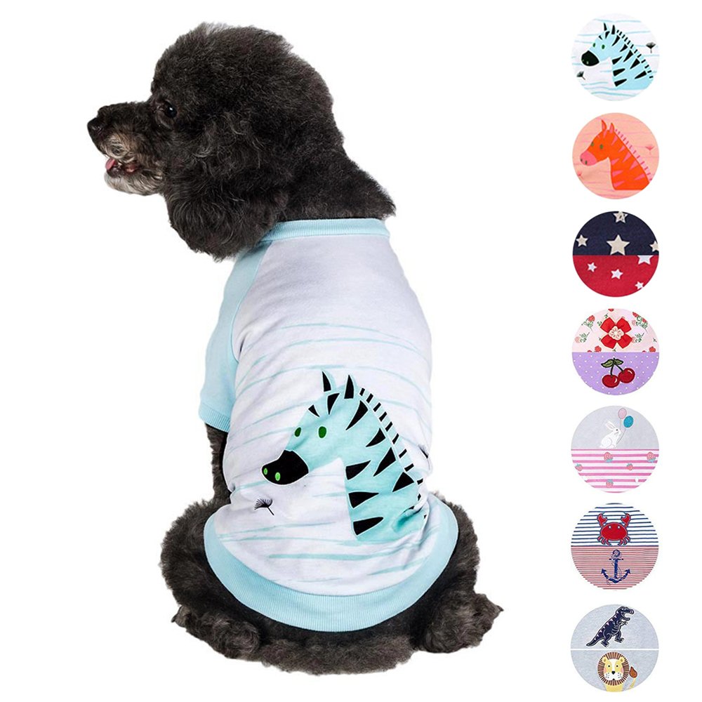 Blueberry Pet Henry The Zebra Cotton Dog T Shirt in Aquamarine, Back Length 12, Pack of 1 Clothes for Dogs