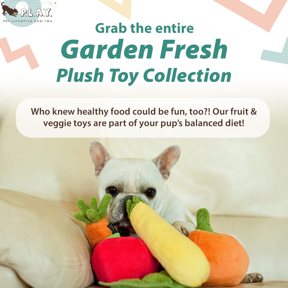 P.L.A.Y. Cute Plush Dog Toys - Fruit & Vegetable Themed Durable Squeaker Chew Toy, Great For Puppies & Small, Medium, Large Dogs - Machine Washable, Recycled Materials (Garden Fresh Pumpkin, Medium)