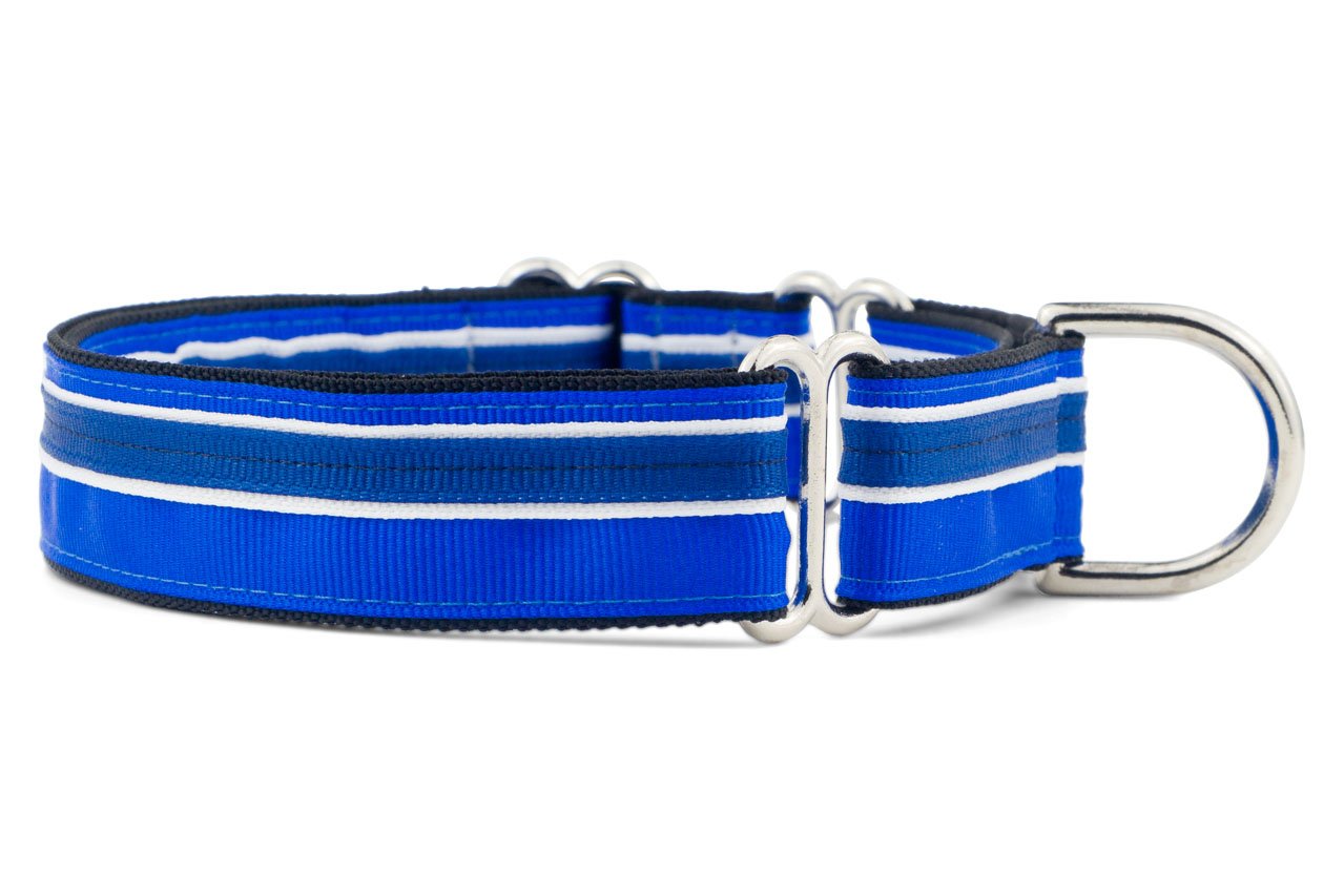 If It Barks 1'' Martingale Collar For Dogs, Adjustable Nylon, Usa Made, Medium, Blueberry