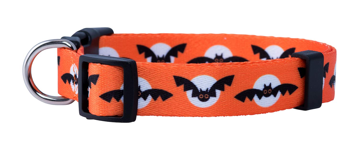 Native Pup Halloween Dog Collar (Medium, Bats And Moon)