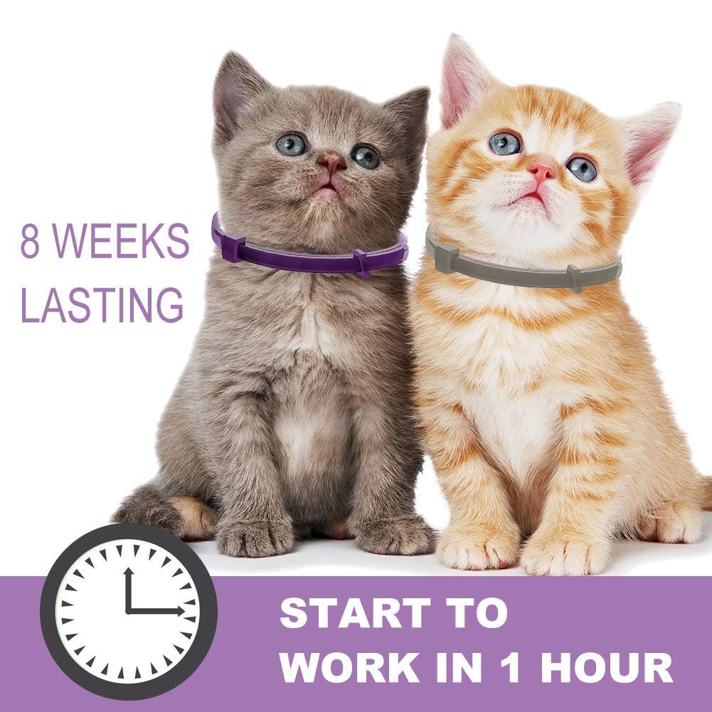 Nature'S Miracle Urine Destroyer For Dogs, Light Fresh Scent, Tough On Strong Dog Urine And The Yellow Sticky Residue