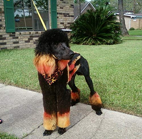 Critter Color Temporary Pet Fur Coloring- Warren London- Easy To Use- 7 Colors- Made in USA- Red