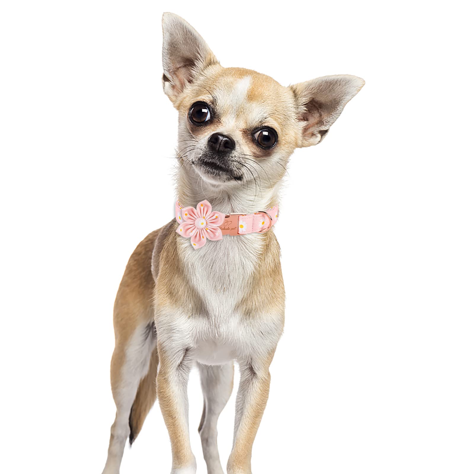 Babole Pet Dog Collar With Pink Daisy Flower Tie,Cotton Dog Collar With Safety Metal Buckle Adjustable Puppy Collars For Small Medium Large Boy&Girl Dog,Small,Neck 10'-16'