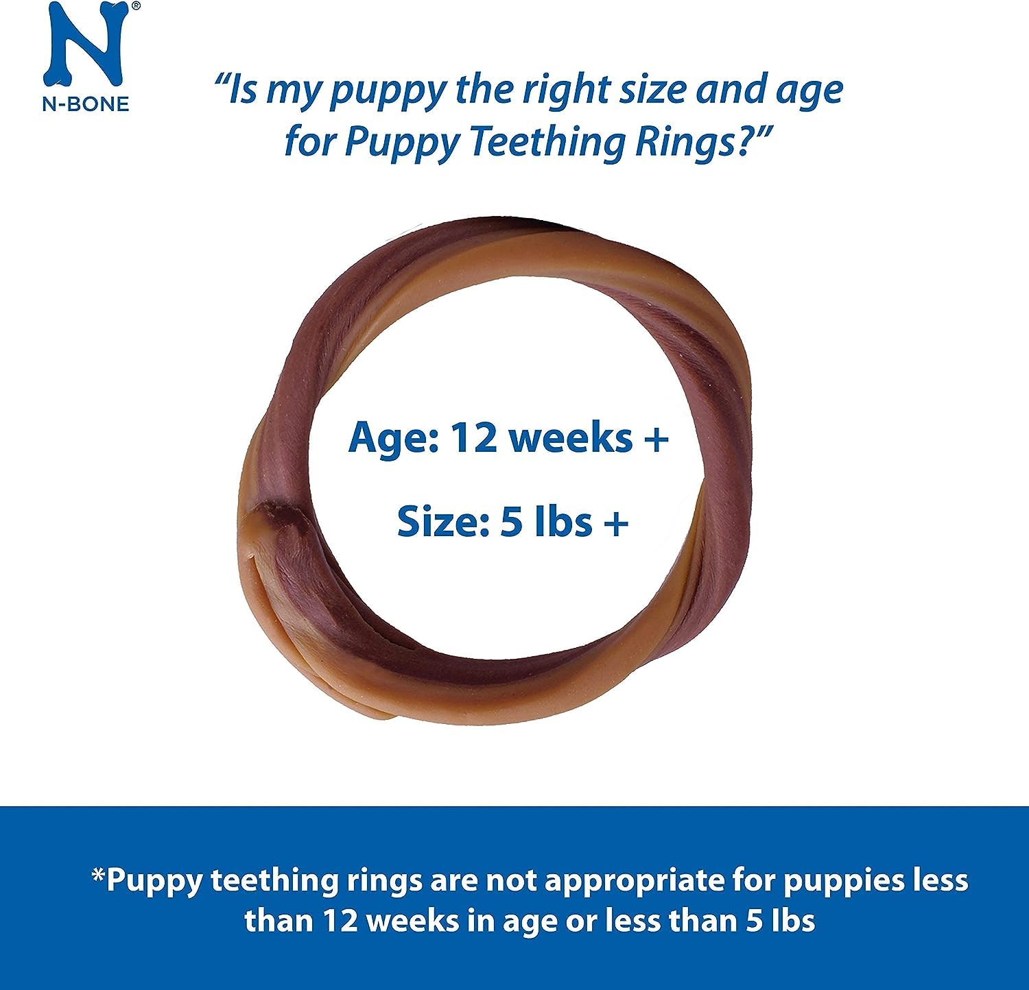 N-Bone Puppy Teething Ring Pumpkin Flavor (24 Count)