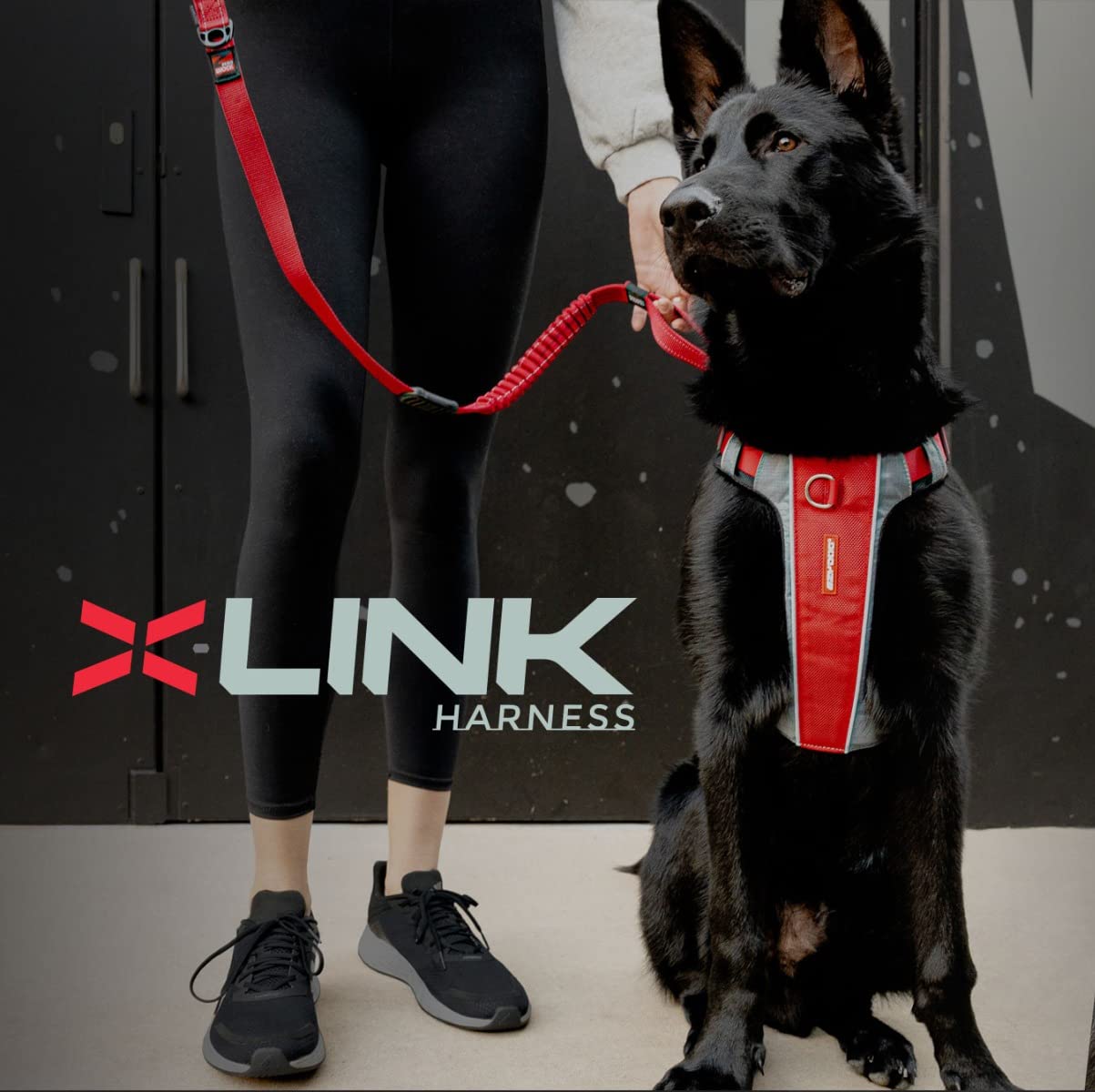 Ezydog Premium X-Link Adjustable No-Pull Reflective Dog Harness (Large, Black)