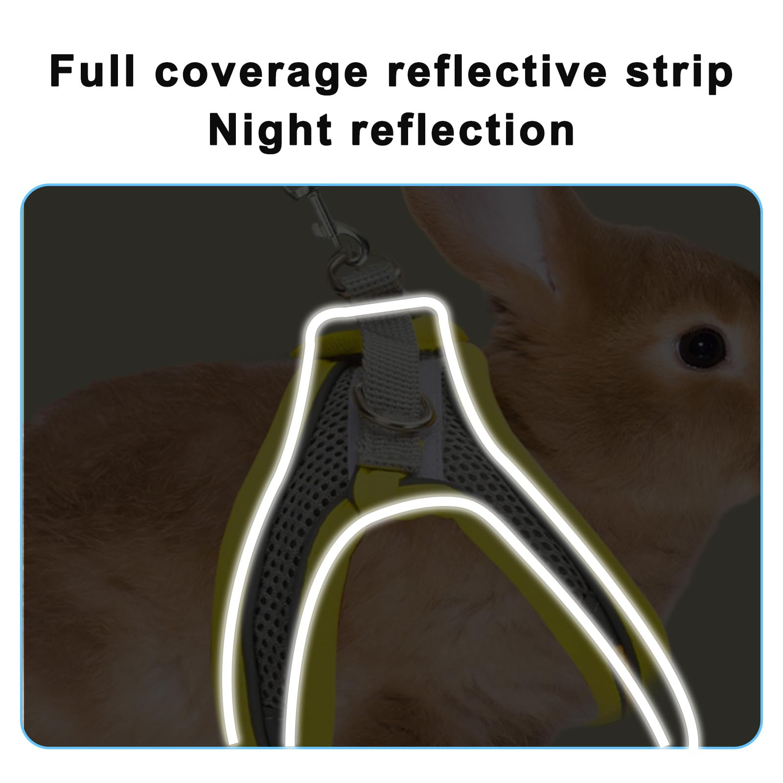 Petknows 2 Pack Rabbit Harness And Leash Set, Double Buckle Bunny Harness With Reflective Strips Soft Breathable Mesh Vest Harne