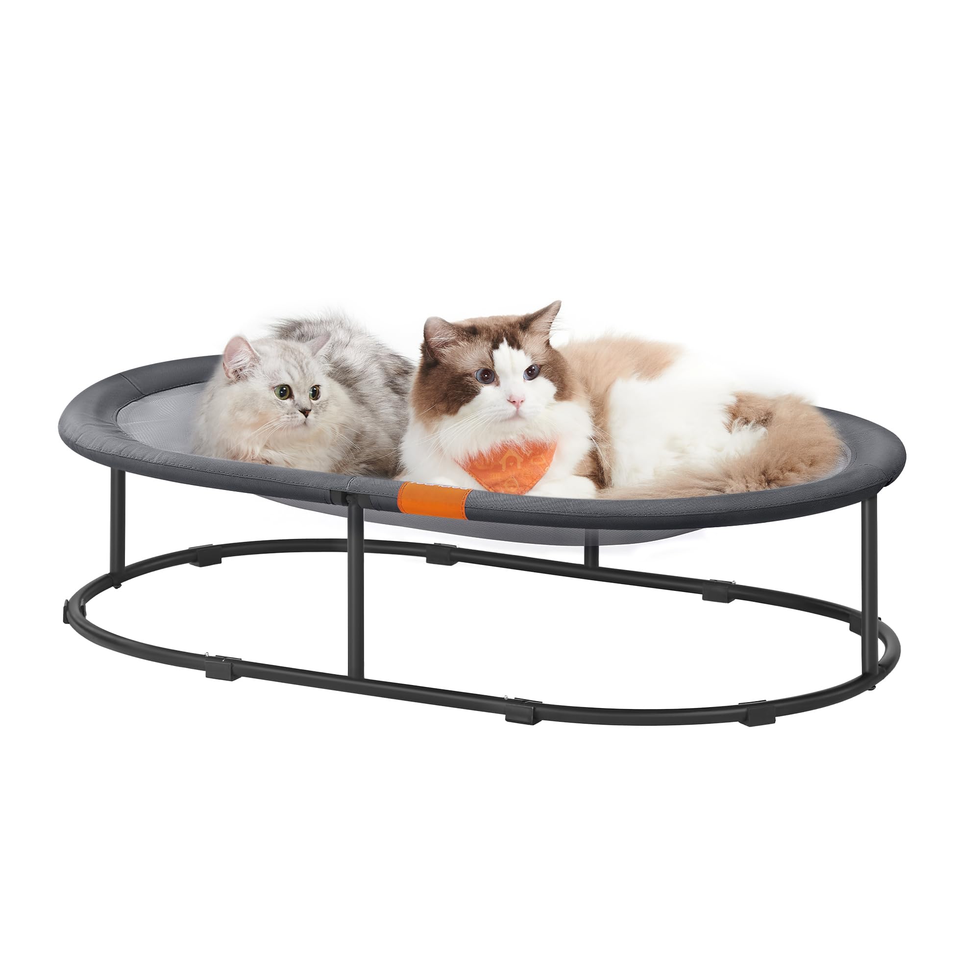 Feandrea Pet Bed, Cat Hammock, Elevated Cat Bed for Multiple Cats, with Removable Washable Mesh, for Pets up to 120 lb, Oval, Gr