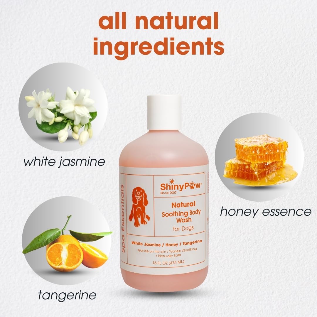 Jasmine & Honey Spa Body Wash for Dogs by Shiny Paw 16 oz | Dog Itchy Skin Relief & Aging Coat | Hypoallergenic Dog Shampoo for
