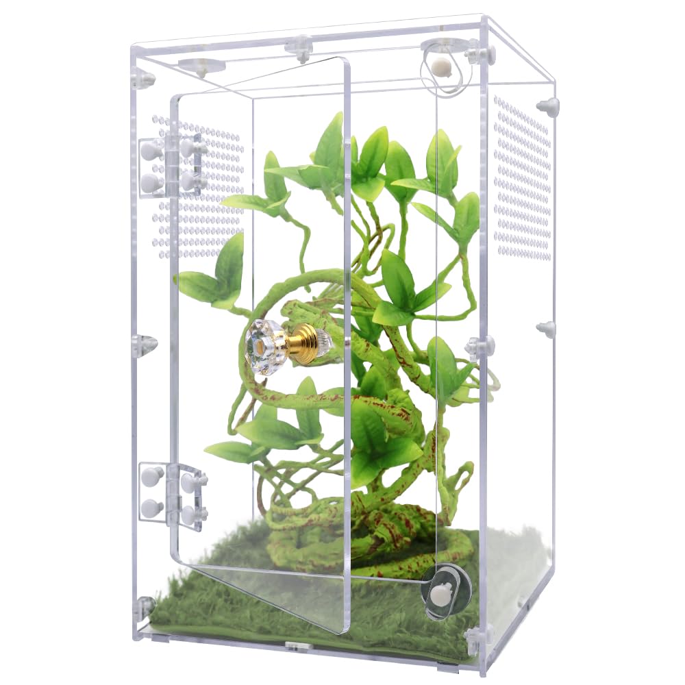 Large Jumping Spider Enclosure, Tarantula Enclosure With Front Opening Door, Jumping Spider Habitat Suitable For Mantises, Spide