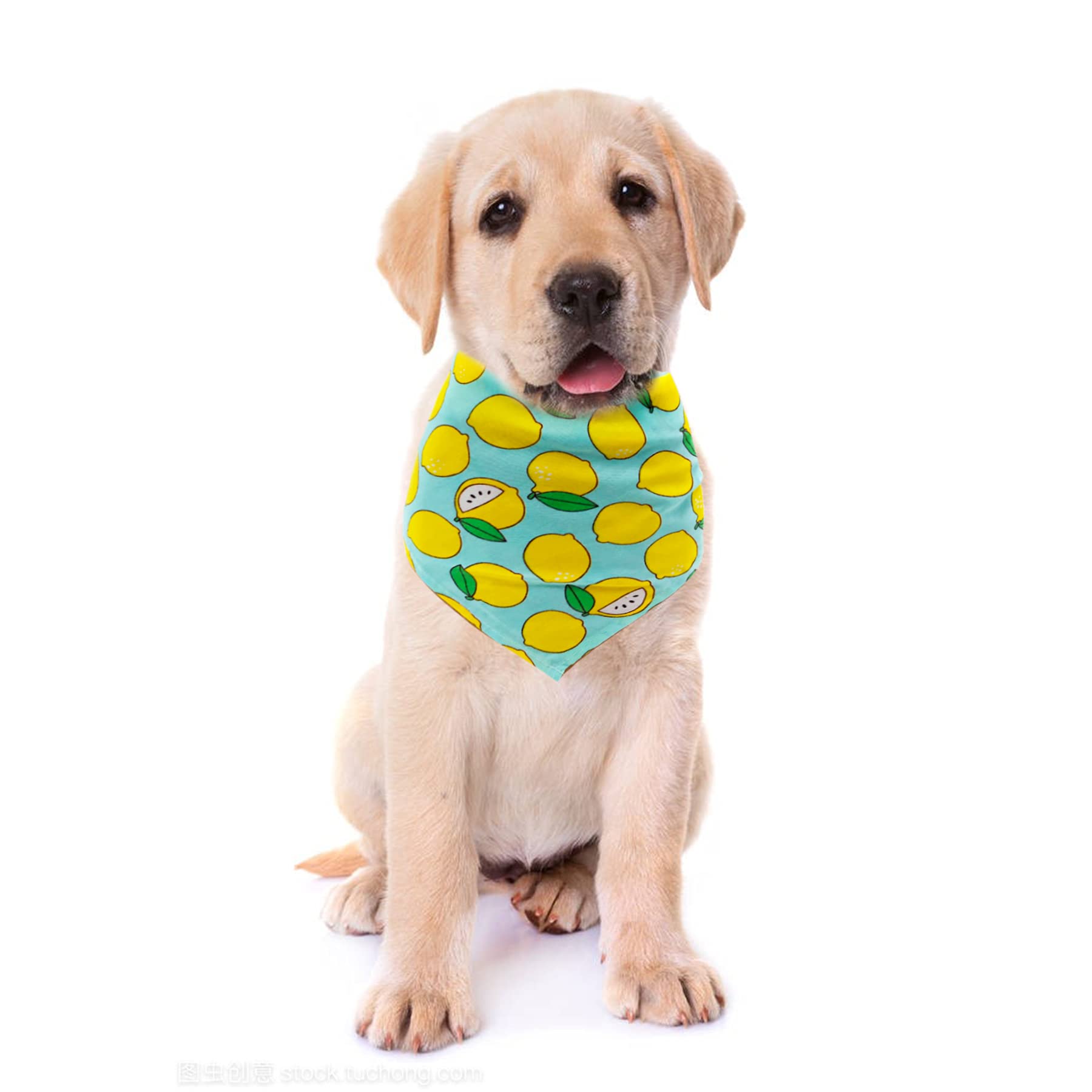 Jpgdn 100Pcs Small Dogs Bandanas Cotton Bulk Pet Summer Bandanas Kerchief Triangle Bibs Scarves Scarfs Random Patterns For Boys