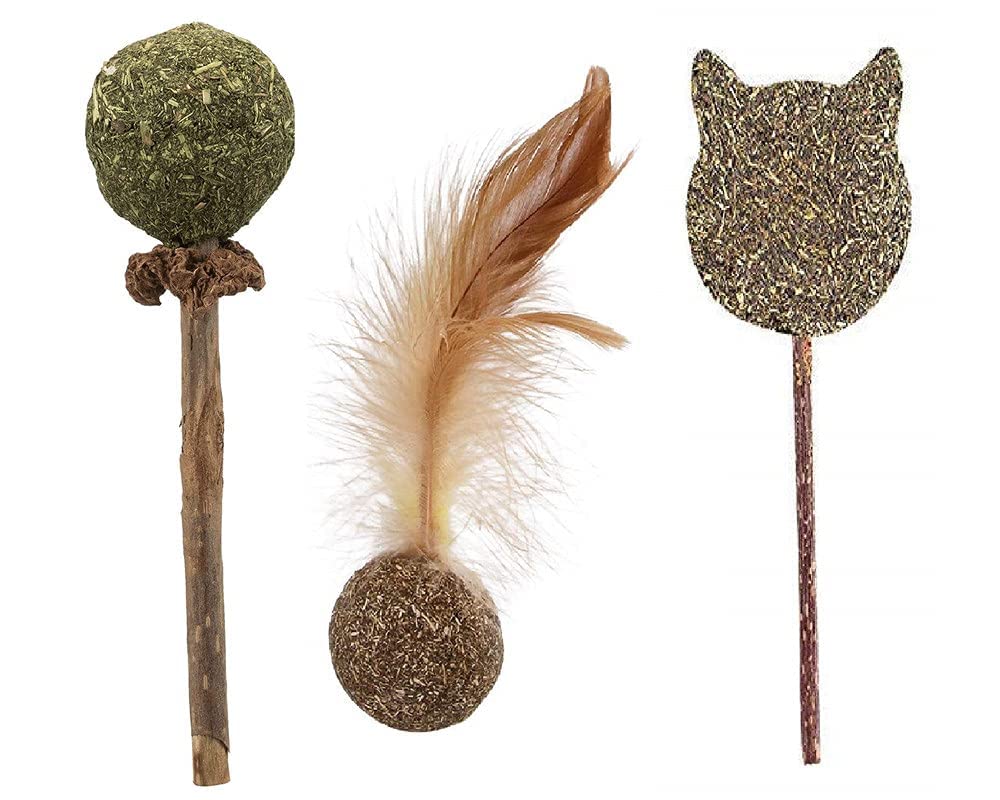 Dog Trust 3Pcs Cat Wand With Catnip Cat Teaser Toys Chewing Toy Molar Toy Cat Chasing Toy Teeth Cleaning Dental Toy Cat Treats I