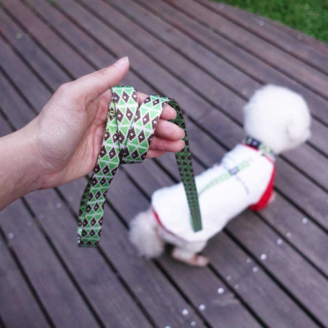 Azuza Dog Collar And Leash Set, Adjustable Nylon Collar With Matching Leash, Green Diamond For Medium Dogs