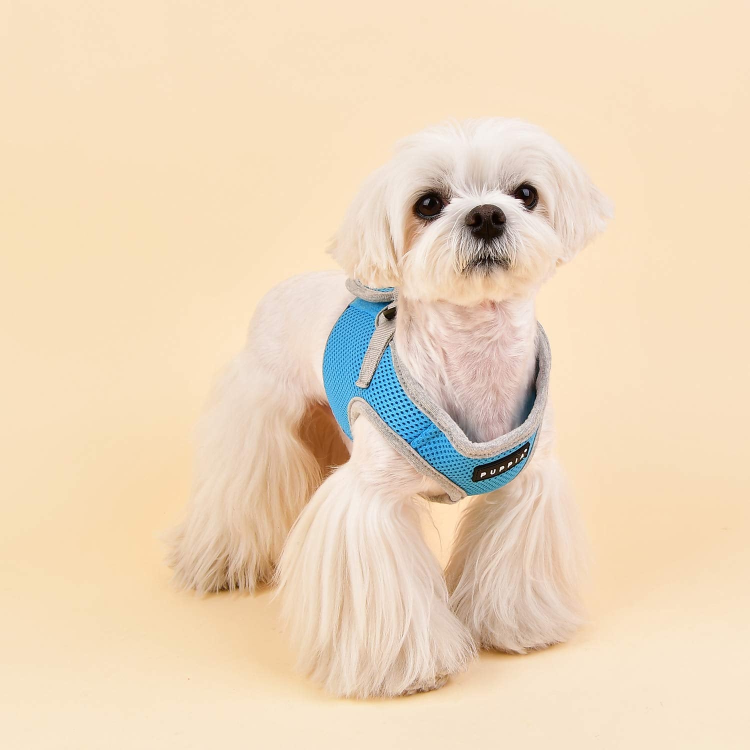 Puppia Soft Vest Harness B Ii - Sky Blue - L