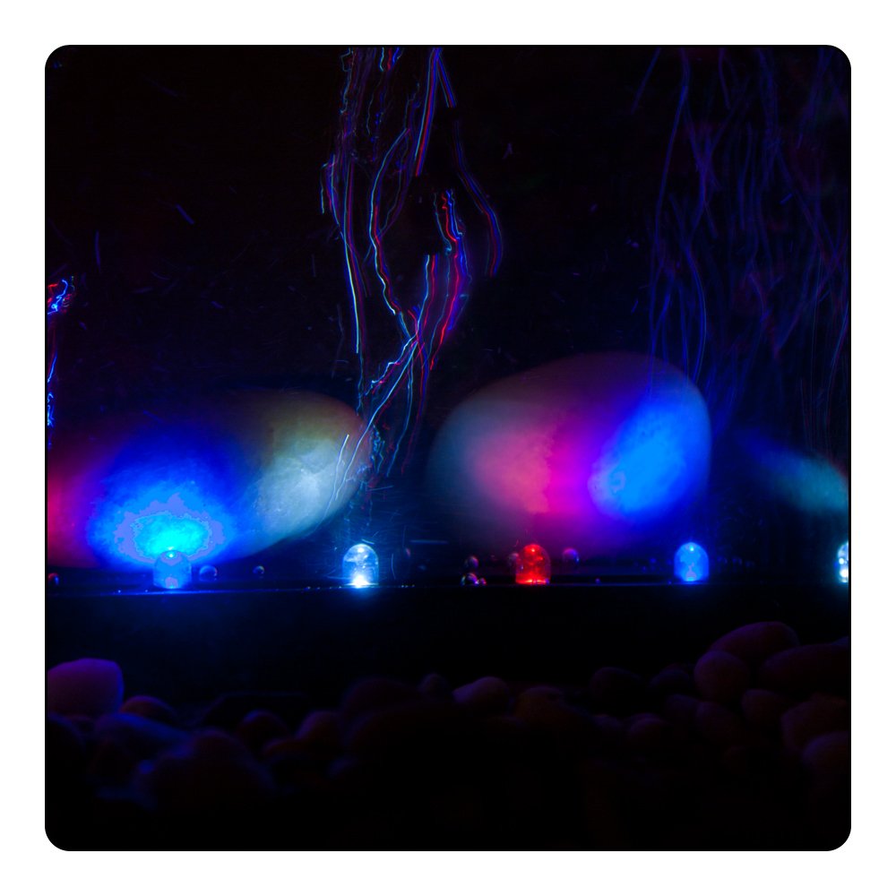 Viaaqua18In 3.3 Watt Slow Color Changing Led Light & Airstone