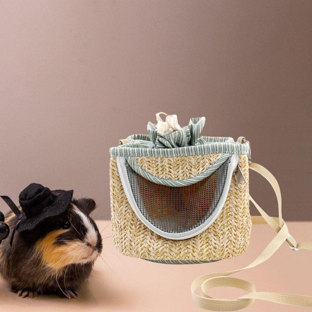 SECRET DESIRE Small Pet Bag Knapsack Breathable Mesh Carrier for Outing Travel Green