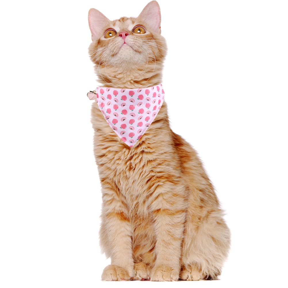 Cat Collar Breakaway With Cute Bandana And Bell Fruits Accessories For Kitty Adjustable Safety