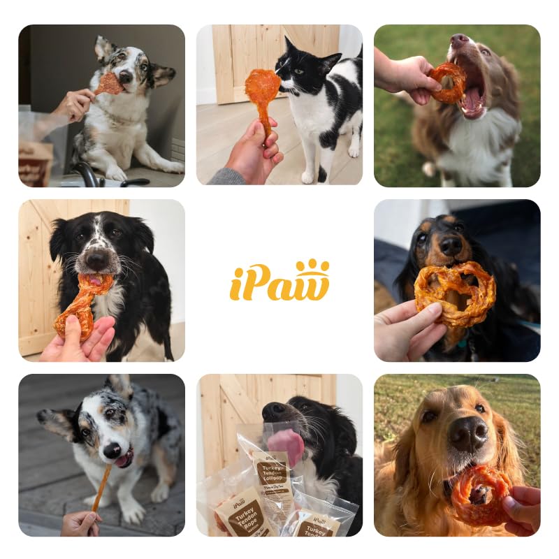 iPaw Turkey Tendon for Dogs, Ingredient Sourced from USA, Hypoallergenic, All Natural Human Grade Puppy Chew, Dog Treats for Sig